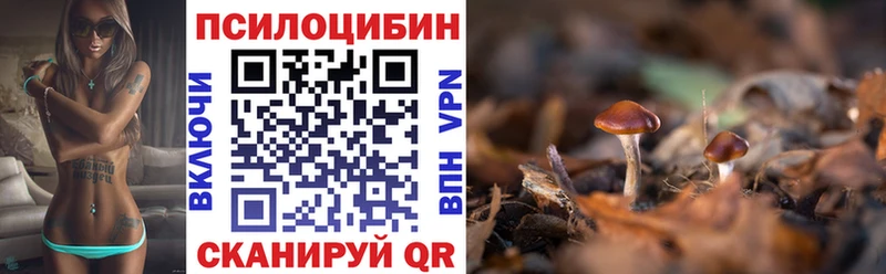 как найти закладки  Макушино  Галлюциногенные грибы Psilocybe 